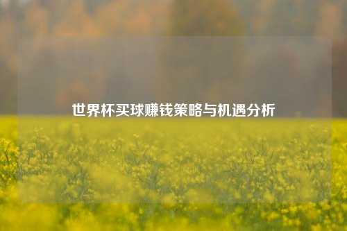 世界杯买球赚钱策略与机遇分析
