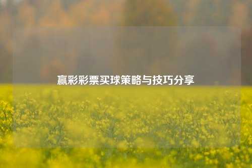 赢彩彩票买球策略与技巧分享