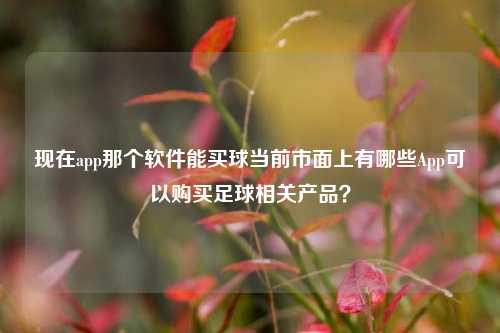 现在app那个软件能买球当前市面上有哪些App可以购买足球相关产品？
