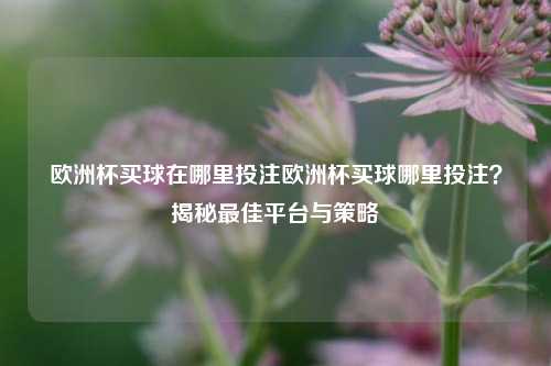 欧洲杯买球在哪里投注欧洲杯买球哪里投注？揭秘最佳平台与策略