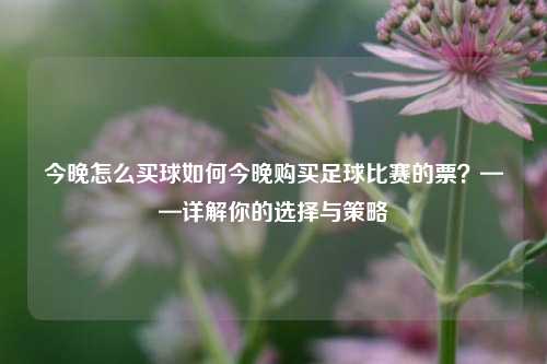 今晚怎么买球如何今晚购买足球比赛的票？——详解你的选择与策略