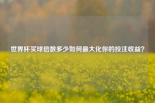 世界杯买球倍数多少如何最大化你的投注收益？