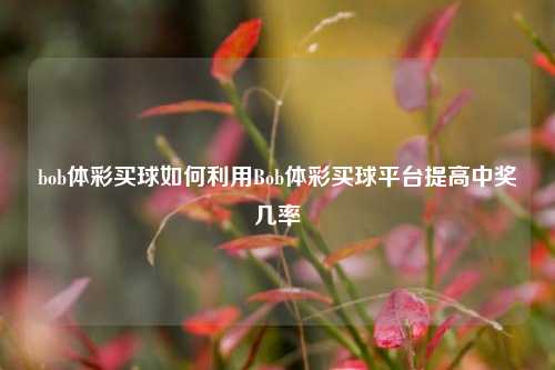 bob体彩买球如何利用Bob体彩买球平台提高中奖几率