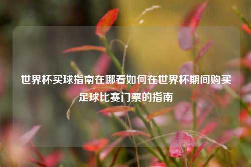 世界杯买球指南在哪看如何在世界杯期间购买足球比赛门票的指南