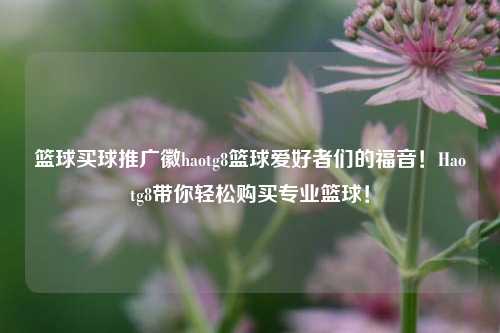 篮球买球推广徽haotg8篮球爱好者们的福音！Haotg8带你轻松购买专业篮球！