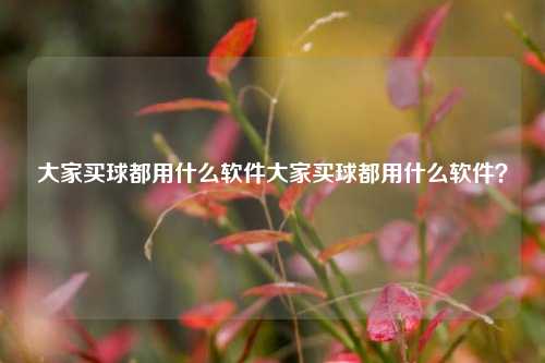大家买球都用什么软件大家买球都用什么软件？