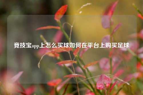 竟技宝app上怎么买球如何在平台上购买足球