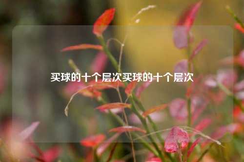 买球的十个层次买球的十个层次