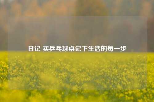 日记 买乒乓球桌记下生活的每一步