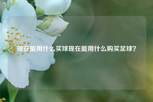 现在能用什么买球现在能用什么购买足球？