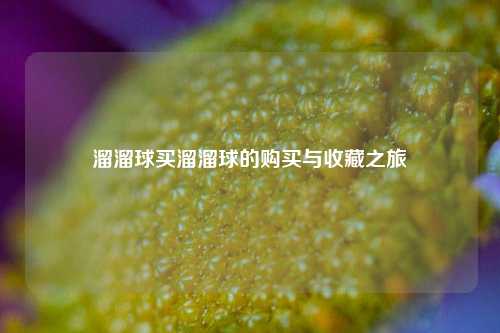 溜溜球买溜溜球的购买与收藏之旅