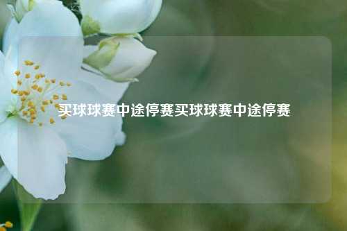 买球球赛中途停赛买球球赛中途停赛