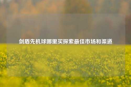剑盾先机球哪里买探索最佳市场和渠道