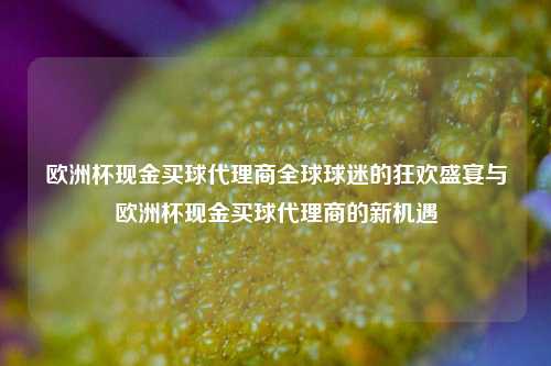 欧洲杯现金买球代理商全球球迷的狂欢盛宴与欧洲杯现金买球代理商的新机遇