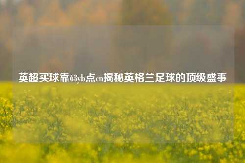 英超买球靠63yb点cn揭秘英格兰足球的顶级盛事