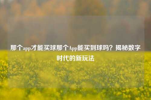 那个app才能买球那个App能买到球吗？揭秘数字时代的新玩法