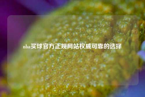 nba买球官方正规网站权威可靠的选择