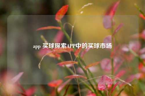 app 买球探索APP中的买球市场