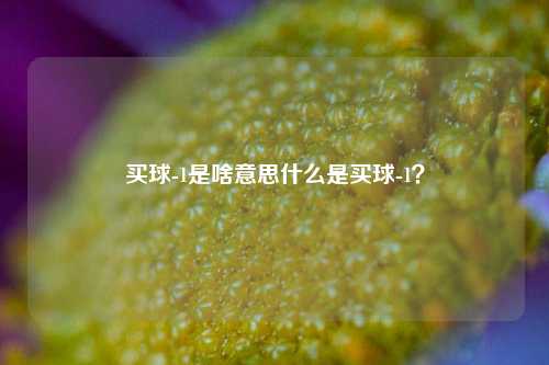 买球-1是啥意思什么是买球-1？
